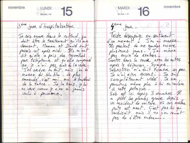 Journal intime (diary)